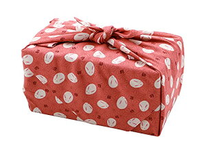 C~ 唻nJ` 50cm Ɩ̗t ([Y)