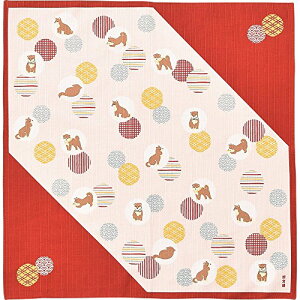 _l ziC~ 50cmj ĂƏ AJ