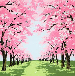 ۑS C~ ȕC~  u[ 50×50cm { ȒPɕ߂ ٓ yĕ֗ Y RpNgi