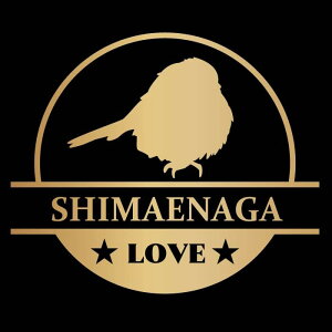 V}GiK    XebJ[ V[ ی` ~` LOVE ybg I[i[ ObY G ACe   Gu fJ[ ANZT[ uh AEghA  