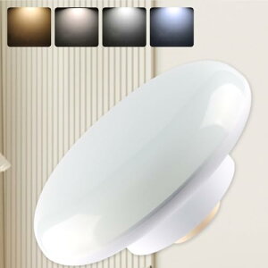 LED�V�[�����O���C�g 4�� 4.5�� 6�� ���^�݌v ���^ 10W 2000lm 100�`���� �d���F ���F �����F �����F ���P�x �ȃG�l ���� �g�C�� ���ʏ� �K�i �䏊 �L�� ������ �x�����_ �N��?�[�b�g �哔 ���^�V�[