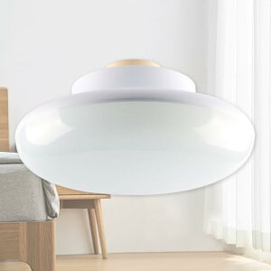 yPx3000lmzLEDV[OCg ^ 6 F5000K 15W 3000lm 150W` LEDV[OCg 6 4 ^ ȃGl  gC ʏ Ki 䏊 L  x_ N?[bg 哔