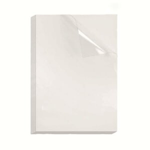 I[fBIt@ PETXebJ[p CNWFbgp A4 n NA t[Jbg iTCY A4 0.2mm 10_Zbg