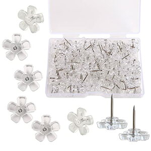 EUSTACE 100���� ��e �����s�� ��т傤 ���� �~�̌` ���ߋ� ���ەe �����i�B �A���e�B�[�N�� �\�t�@�[ �V���[�Y �h�A ���� 14 x 15.3mm ���[�{�b�N�X����