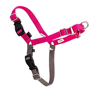 [ �y�b�g�Z�[�t ] Petsafe ���p �n�[�l�X �C�[�W�[�E�H�[�N ���^�`��^�� M/L �T�C�Y Easy Walk Harness M/L EWH-HC-M/L-RAS ���Y�x���[�s���N/�O���[ Raspberry �U�� �g���[�j���O �y�b�g �� [���s�A���i]