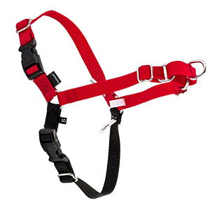 [ �y�b�g�Z�[�t ] Petsafe ���p �n�[�l�X �C�[�W�[�E�H�[�N ���^�� M �T�C�Y Easy Walk Harness M EWH-HC-M-RED ���b�h/�u���b�N Red �U�� �g���[�j���O �y�b�g �� [���s�A���i]