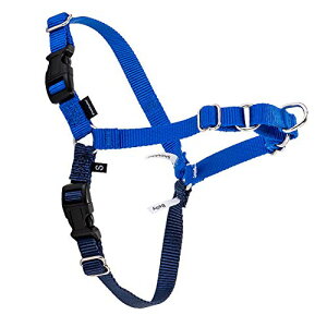 [ �y�b�g�Z�[�t ] Petsafe ���p �n�[�l�X �C�[�W�[�E�H�[�N ���^�� M �T�C�Y Easy Walk Harness M EWH-HC-M-RYL ���C�����u���[/�l�C�r�[ Royal Blue �U�� �g���[�j���O �y�b�g �� [���s�A���i]