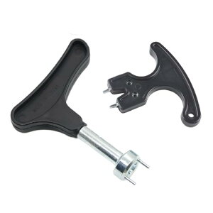 StV[Y XpCN StXpCN` ` p XpCNe Zbg XpCN` XeXX`[ CebNN[g N[gbp[ XeX| x l