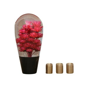 SCGEHA ԓNX^mu AN ėp AT MT gbN X|[cJ[    ^ A_v^[t (bh)