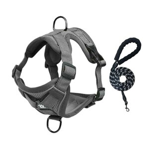 ZOF?  n[lX ^ ^ p [h Zbg ă^Cv h~ ʋCbVf _ubN\Ŕɂ 4_߂ł҂tBbg ˃Xgbvt Ԃ