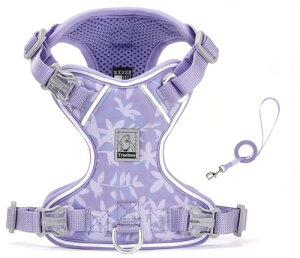 cocomall 2025ŐVn[lX[hZbg TRUE LOVE{X pփ[hZbg qpA^p ALpAiC 3Mˑf y ʋC _炩 bVybg ₷ 