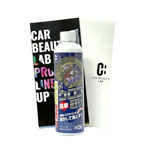 CAR BEAUTY LAB ER{gPi 280ml Ԃ̃{fBɂCIf|Wbgɗn܂UzĐŗĐ@邾 J[r[eB{ ԗpi ԃObY #06 CBL06 (ER{g