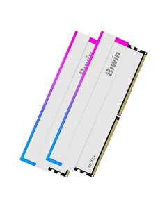 Biwin DW100 DDR5 6000MT/s (PC5-48000) fXNgbvPCp 32GBi16GB×2j CL30 RGBCeBO Intel XPM 3.0/AMD EXPOΉ Lbg zCg