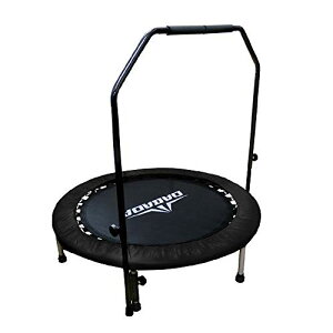 DABADAi_o_j g| 肷t Jo[t ^102cmyω׏d150kgz ƒp ܂肽 qp lp GNTTCY (肷+Jo[FubN)