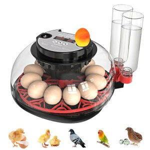 z CLx[^[ Cgt Safego z@ P 12  ] x \ ȒP ᑛ fW^\ qp ƒp zAbv z 