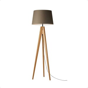 �A�[�g���[�N�X�^�W�I �J�v�`�[�m�t���A�����v �k�� �ԐڏƖ� ���X�y�[�X ���r���O�Ɩ� �_�C�j���O�Ɩ� �t���A�Ɩ� AW-0691E-BN(�u���E��)�yE26/60W����LED�d���t�z