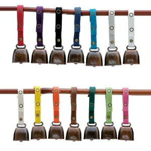 VIVA(�r�o) �L�d�L�x�� RD ���b�h