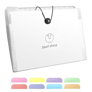 �h�L�������g�t�@�C�� A4 8�d�؂� 2�{�Z�b�g �֕� �t�@�C�� �W���o���t�@�C�� ���ގ��[�{�b�N�X �N���A�t�@�C���P�[�X �A�R�[�f�B�I���t�@�C�� �g���t�@�C���t�H���_�[ �t�@�C���h�L������