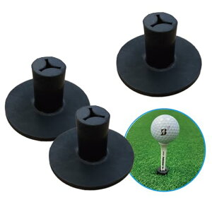 St eB[ S  hSeB[ 3Zbg K}bgp Kp ChASt 