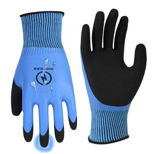 [_] ≏ 1000V dH dC≏ ~ Ղɋ h S Sȍ n z Ɨp dCHDIY܂ŕLg