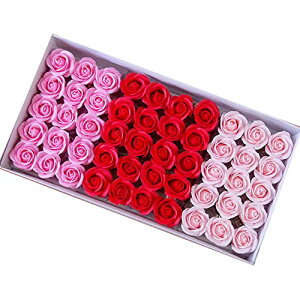 \[vt[ V{t[ wbh 50 A\[gA o ԃsNn ԍ AWg