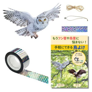 悯u bQ΍ 悯e[v Q΍ JXEng,  悯 ObY ݂艺 ԏ J[|[gx_EEp  (~~YN(tNE) 1)