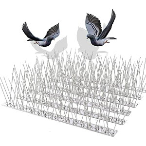 悯 悯 25cm×10 tANZTt jW JX悯 tQh~Eiς𑹂Ȃ킸ngȂǂ̊QɂQh x_  gp 100%XeX ό