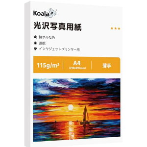 Koala ʐ^p ꂢȌ 0.13mm  A4 100 Жʈ CN CNWFbgv^[p