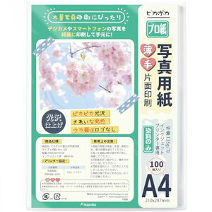 sJ|J A4 ʐ^p   100 CNWFbg ʐ^vgp (PJPA4YB135GP)