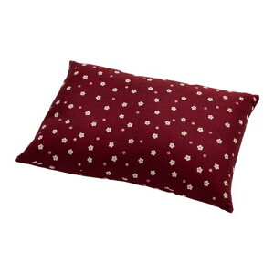 A~s[ ΂疍 35 × 50 cm MB Y  ł  Ίk  ܂ Ζ ΂܂  k ň^  񂱂  { Ki ( sN)