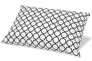 SEIDO ΂  { Ίk ܂ ߉\ k m (u[)