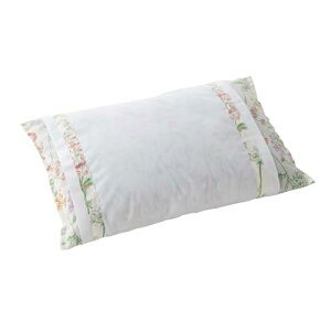 A~s[ ΂疍 30 × 45 cm  ł Ίk  { ܂ Ζ ΂܂  k ň^  񂱂  Ki ({^jJ sN)