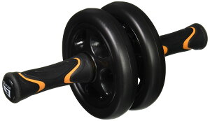 ACR(ALINCO) GNTTCYzC[ WBN229