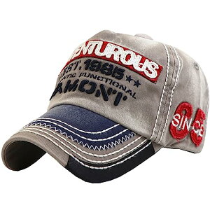 [zCgt@O] p S Lbv Xq jO AEghA fB[X Y CA739(O[)