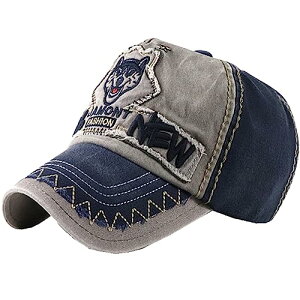 [zCgt@O] Et S Lbv Xq jO AEghA fB[X Y CA724(O[lCr[)