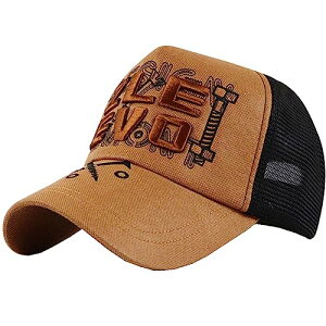 [zCgt@O] bV Lbv p S Xq jO AEghA Y fB[X CA747(R[q[)