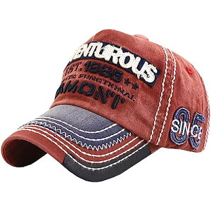 [zCgt@O] p S Lbv Xq jO AEghA fB[X Y CA739(C)