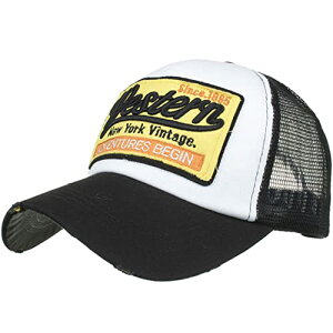 [zCgt@O] bV Lbv _[WH p Xq jO AEghA fB[X Y CA663(ubN)