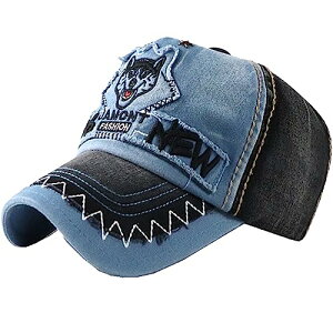 [zCgt@O] Et S Lbv Xq jO AEghA fB[X Y CA724(fju[)