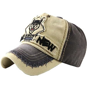 [zCgt@O] Et S Lbv Xq jO AEghA fB[X Y CA724(x[W)