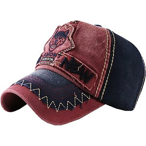 [zCgt@O] Et S Lbv Xq jO AEghA fB[X Y CA724(C)