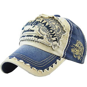 [zCgt@O] p S Lbv Xq jO AEghA Y fB[X CA728(u[)