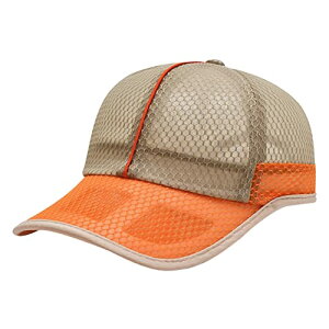 [zCgt@O] bV Lbv Xq n X|[c jO AEghA Y fB[X CA577(J[L)