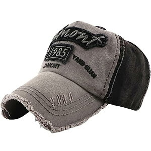 [zCgt@O] p S Lbv Xq _[WH jO AEghA Y fB[X CA725(_[NO[)