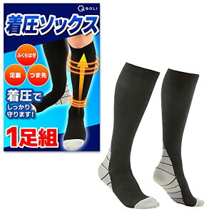 [QQOLi] y𐮑̎tďCz \bNX C ӂ͂ T|[^[  ی iK jO WMO TCNO AEghA RvbV\ JJg Y fB[X