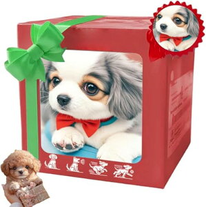 q^ybg{bgdqybg ̂ʂ  񂿂  ʂ   Aȓ(EiEKӂ) qmߋEAQx 蕨 (F)