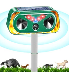 y2025V^zފ SiciMux L悯 悯 g Qbފyg/LED̓tbVCg/t[v Ōށzދ@ oȂ Lގ 悯 lY~ 2000mAhe