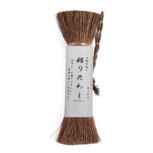 Thujopsis L肽킵 _킵 Lb`uV C tCp ؓ XLbg  ̒ VRf ɗD (14cm)