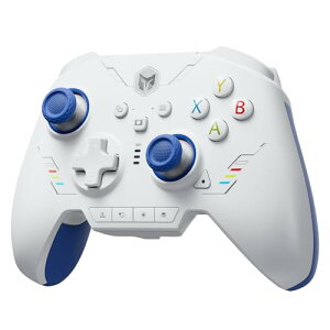 Rg[[ for Nintendo Switch 2 BIGBIG WON Rainbow 2 SE [ [V Rg[ z[ʃgK[ 12 rbg ADC Aˋ@\ 8\L WCXeBbN 3 Zbg PC APP Q[pbh Switch/