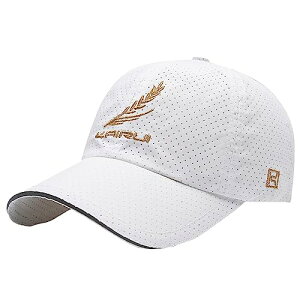 [zCgt@O] [t bV Lbv Xq AEghA ނ St Y fB[X CA783(zCg)